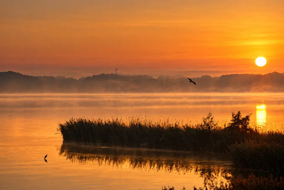 Wschód słońca nad stawem