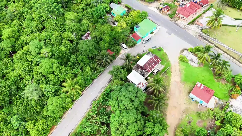 Road and buildings surrounded by greenery