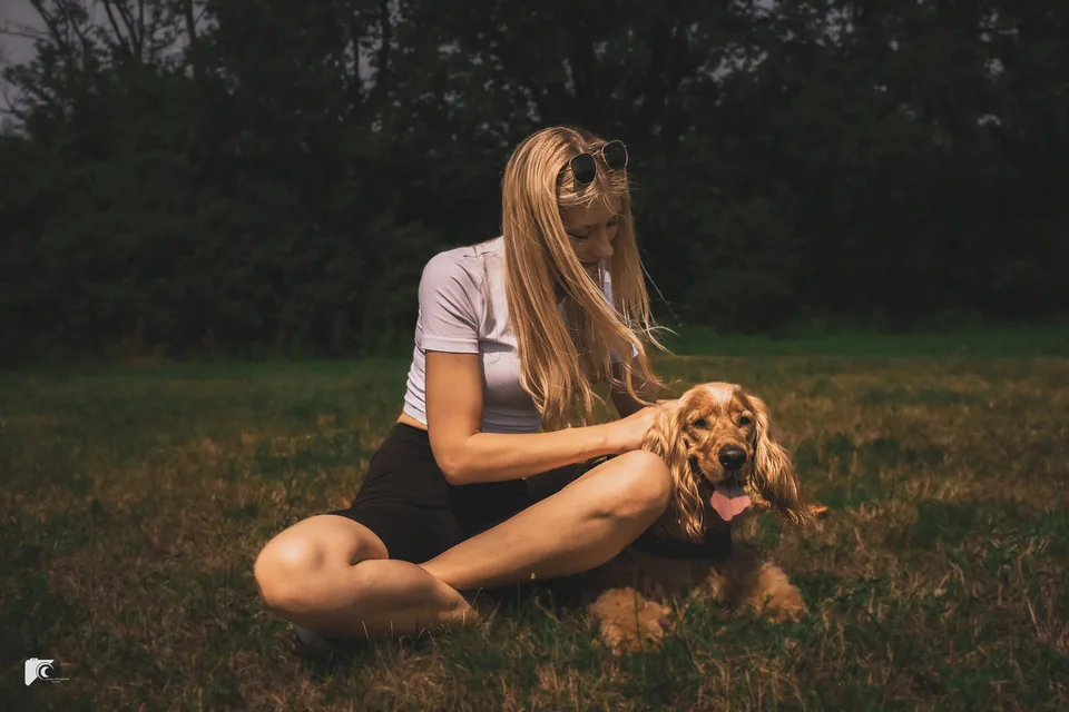 Spaniel with his owner in the meadow