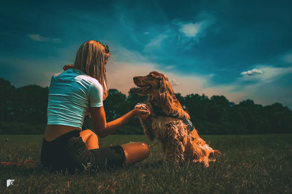 Spaniel z opiekunką przy zachodzie