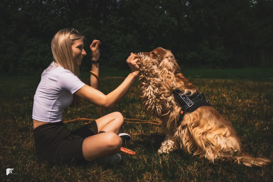 Spaniel with his owner on the grass